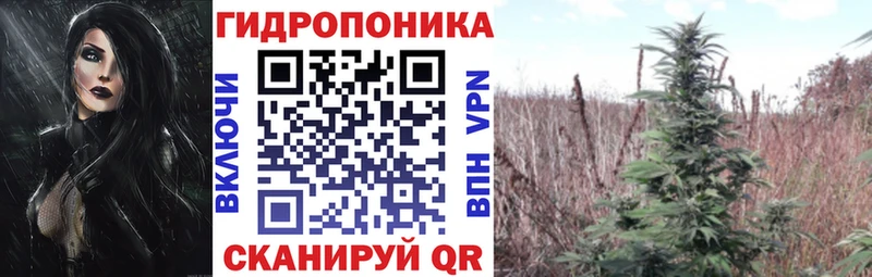 Магазин наркотиков Ардатов КОКАИН  Амфетамин  Каннабис  ГАШИШ 