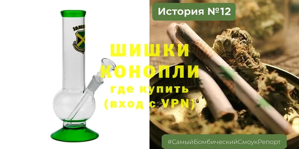 ПСИЛОЦИБИНОВЫЕ ГРИБЫ Алексеевка