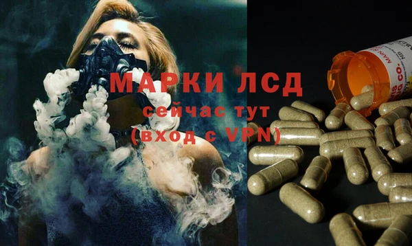 ПСИЛОЦИБИНОВЫЕ ГРИБЫ Алексеевка